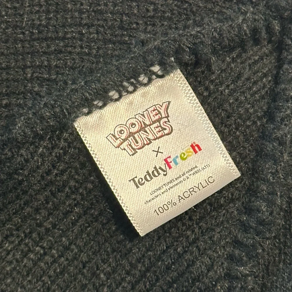 Teddy Fresh X Looney Tunes Beanie in Black/Green